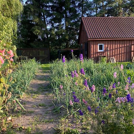Agroturystyka Omelia Члухув Экстерьер фото